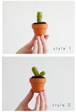 Cactus - Small size