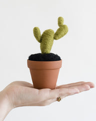 Cactus - Large size