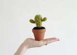 Cactus - Large size